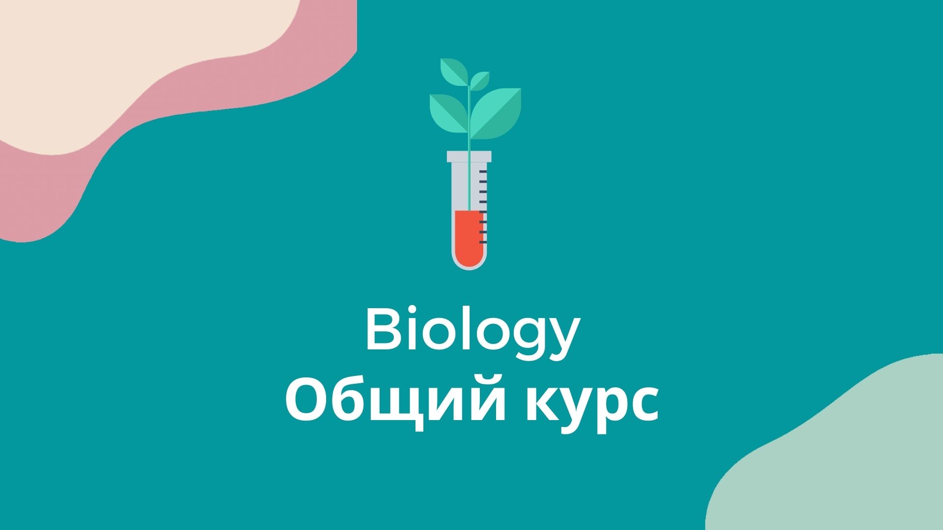 Курсы — CLIL.KZ